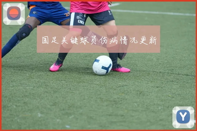 国足关键球员伤病情况更新