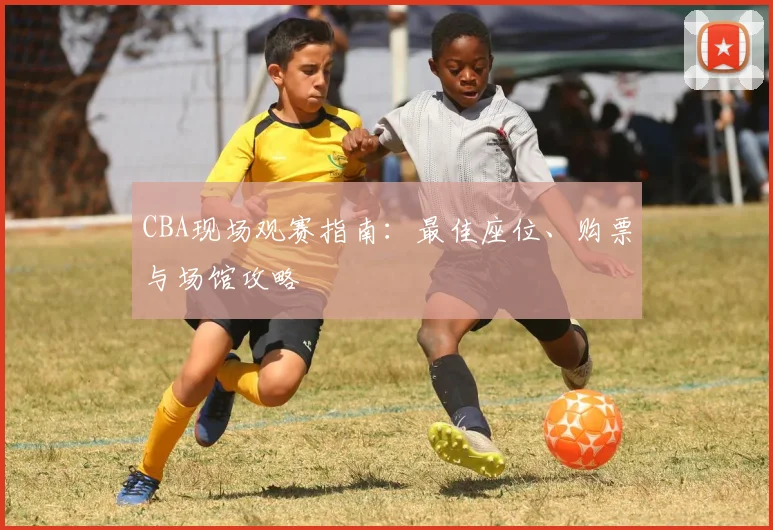 CBA现场观赛指南:最佳座位、购票与场馆攻略